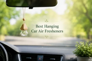 Hanging Car Air Fresheners