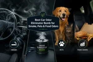 car odor eliminator bomb